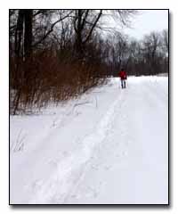 Snowshoeing Digital Photography  Outdoor Eyes