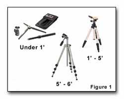 Tripod Photography  Outdoor Eyes
